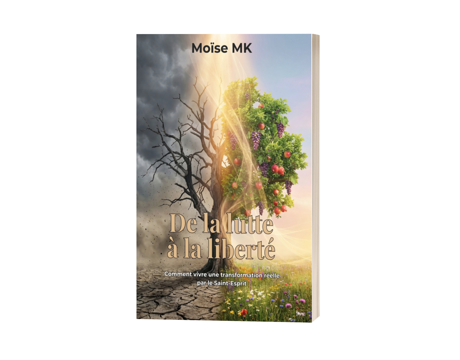 De la lutte à la liberté